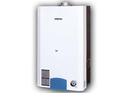 燃?xì)鉅t圖片|燃?xì)鉅t樣板圖|燃?xì)鉅t-圣春散熱器