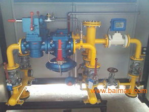 遼寧朝陽RTJ 50 1.6S型燃?xì)庹{(diào)壓器 生產(chǎn)廠家與價(jià)格解析